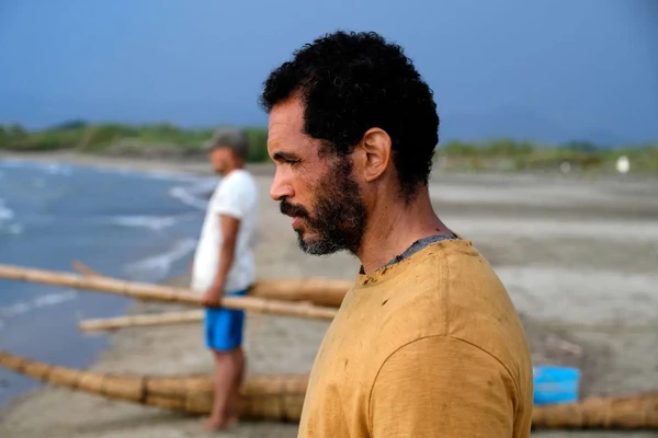 Man on a beach in "Der Schwarm".